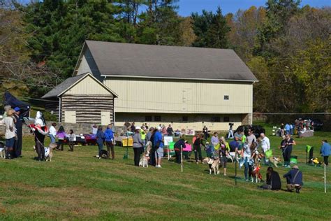 Scout & School Programs – Cromwell Valley Park Council