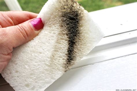 How to Clean Window Tracks - Clean Mama