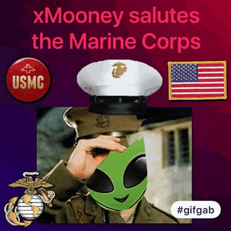 Usmc Marines Gif Usmc Marines Discover Share Gifs - vrogue.co