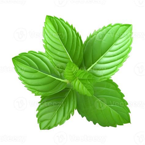 AI generated Green Leaves on Transparent background - Ai Generated ...