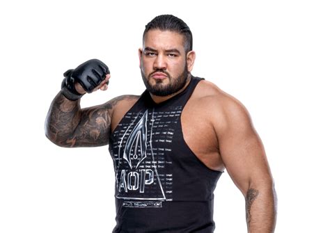 Rezar | OfficialWWE Wiki | FANDOM powered by Wikia