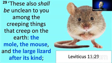 Leviticus 11 – Clean and Unclean Animals : #Cover2Cover Bible Study : 6am -7 am est Live - YouTube