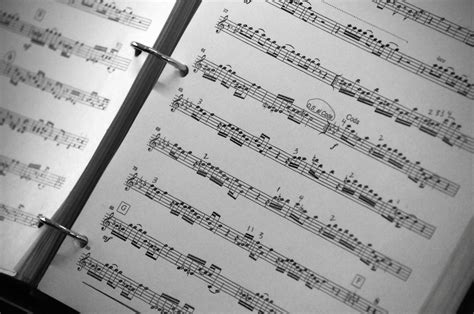 Sheet Music For Violinist Free Stock Photo - Public Domain Pictures