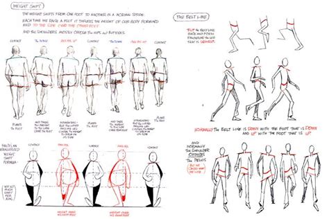 an image of a drawing process with different poses and body shapes for ...