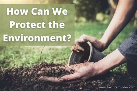 Top 10 Easy Ways to Protect the Environment | Earth Reminder