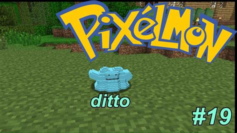 pixelmon online-Ditto shiny #19 - YouTube