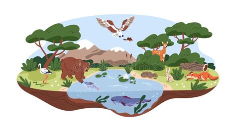 Animal Habitats Stock Illustrations – 245 Animal Habitats Stock ...