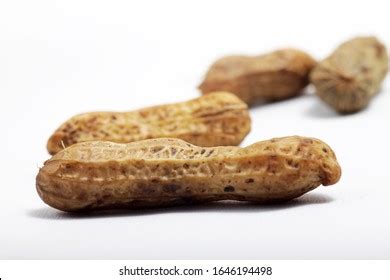 Kacang Rebus Indonesian Most Popular Snacks Stock Photo 1646194498 ...