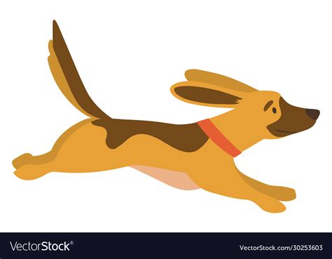 Dog running in autumn park doggy going Royalty Free Vector