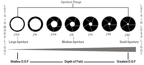 F stop settings - atilasiam