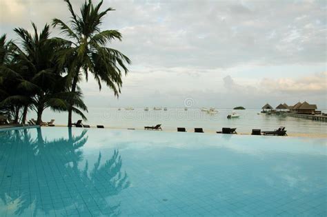 Maldives Swimming Pool stock photo. Image of island, vacation - 7498244