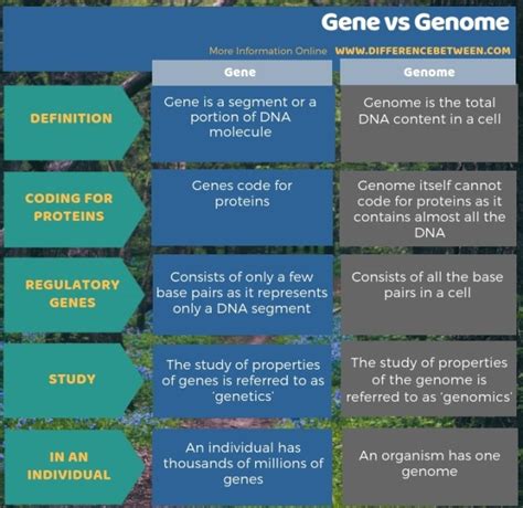 Difference Between Gene and Genome | Compare the Difference Between Similar Terms