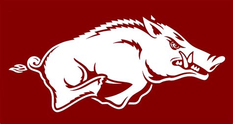 This is my world......: Arkansas Razorback