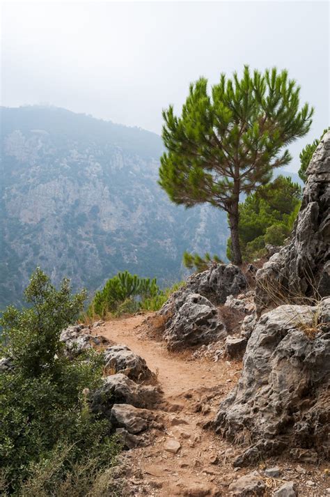 Hiking the scenic border-to-border Lebanon Mountain Trail – Lonely ...