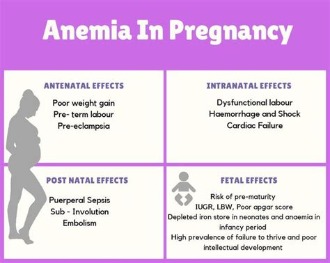 The Importance of Iron in Pregnancy - MamaBix - Special Biscuits for ...