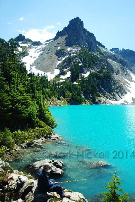 19 Lacey Washington ideas | washington travel, places to go, evergreen state