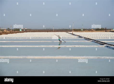 Salt pans on tuticorin Salt Lake, India. It is India's largest saline ...