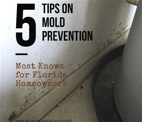 5 Tips on Mold Prevention inside your House - Every Florida Homeowner Should Know this ...