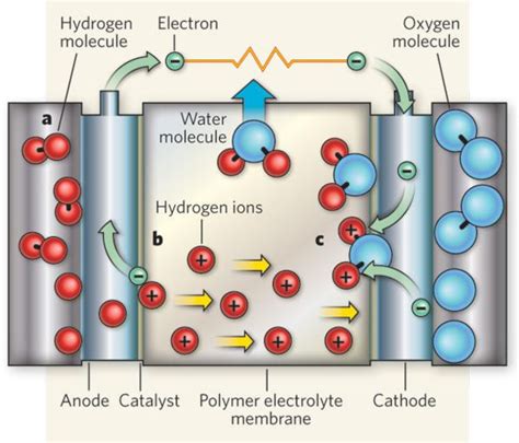 Figure 1.38 from Perfluorosulfonic acid (PFSA)/nanoclay composite ...