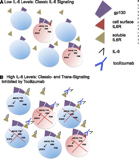 Figure 1 from Current concepts in the diagnosis and management of ...