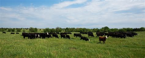 The Great American Grazing Lands – Noble Research Institute