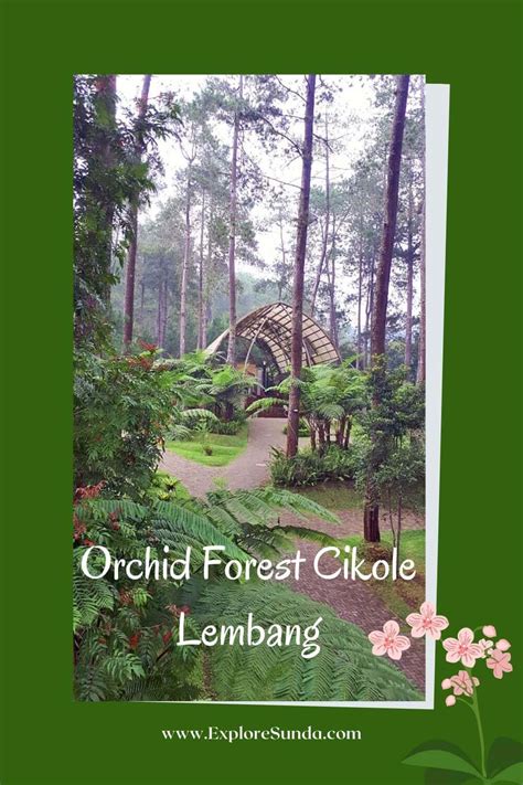 Orchid Forest Cikole Lembang | The Best Orchid Park in Bandung!