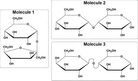 Reducing Sugars - Biochemistry Video | Clutch Prep