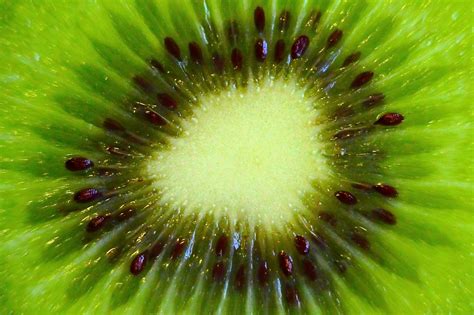 Close up photo of green fruit with black seeds HD wallpaper | Wallpaper ...