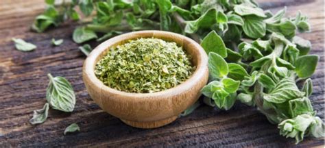 Oregano Benefits, Nutrition, Side Effects and Recipes - Dr. Axe