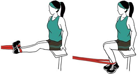 Resistance Band Leg Workout: 10 of the Best Leg Exercises with Bands - Atemi Sports