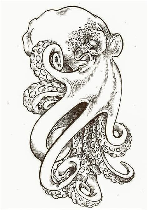 Details more than 78 octopus drawings tattoos - in.coedo.com.vn