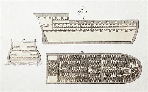 Slave Ship Diagrams Photograph by Paul D Stewart/science Photo Library