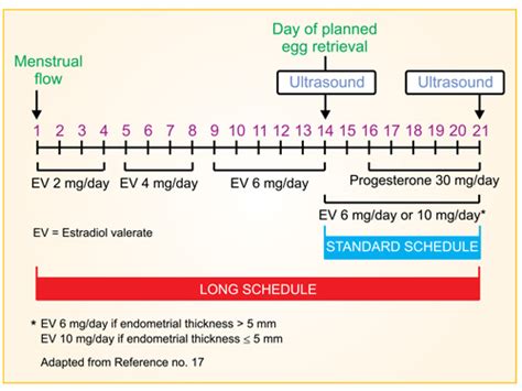 Endometrial preparation and its impact on implantation - Walter ...