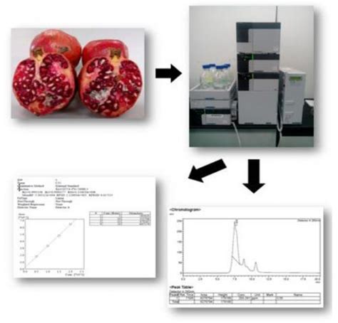 Quantitative and Optimization of Anthocyanin Extracted from Pomegranate (Punica Granatum ...