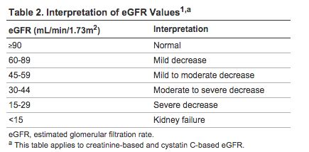 This Nursing Student Can't Even: Day 4: GenitoUrinary System