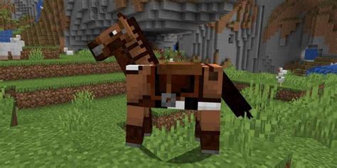 Where To Get A Saddle In Minecraft