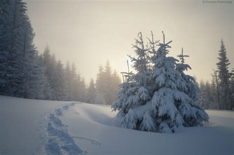 Ukrainian Carpathians – the Land of Winter Fairy Tales · Ukraine travel blog