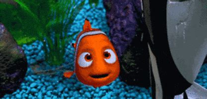 Finding Dory GIF - Find & Share on GIPHY