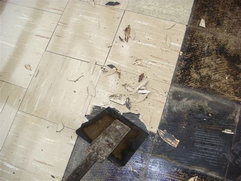 Asbestos Floor Tile Removal | Example of common method of as… | Flickr