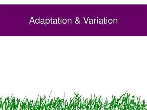 PPT - Adaptation & Variation PowerPoint Presentation, free download - ID:1744897