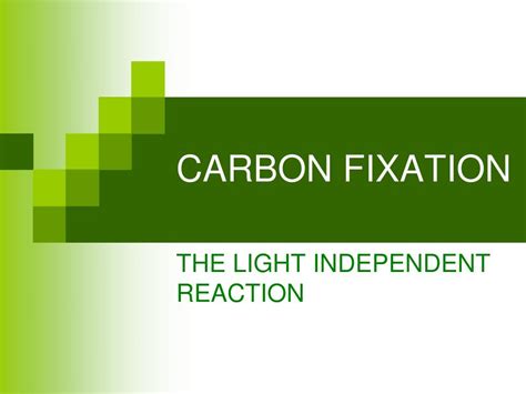 PPT - CARBON FIXATION PowerPoint Presentation - ID:334130