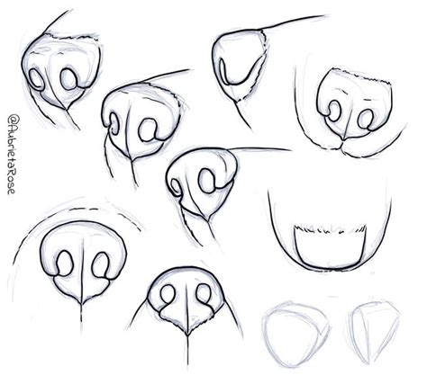 How To Draw A Wolf Nose