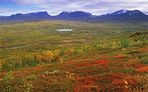 Abisko Park... | TGC Tours