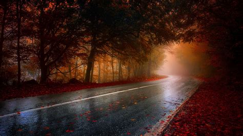 1920x1080 Wet Rainy Road Leaf Fallen Hd Laptop Full HD 1080P ,HD 4k Wallpapers,Images ...