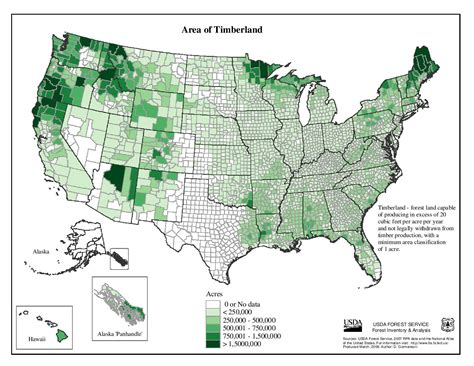 United States Forests - The Past and Present