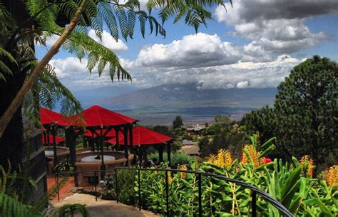 Kula Lodge Restaurant & Bar | Fine Dining Upcountry Maui