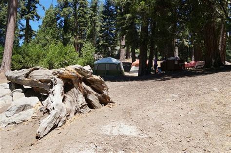 CRYSTAL SPRINGS CAMPGROUND - Reviews (Sequoia and Kings Canyon National ...