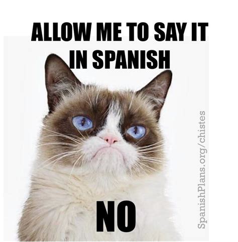 Funny Spanish Teacher Memes Spanish - Perpustakaan Sekolah