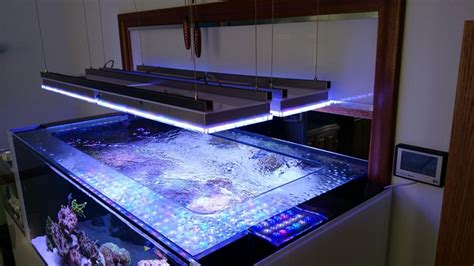 New Reef Tank build UK using Atlantik LED light •Orphek