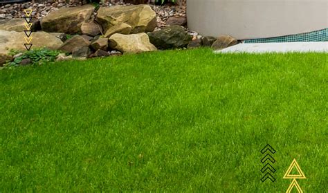 Grass Cutting Wisdom: The Best Time to Cut Grass | HeyHome